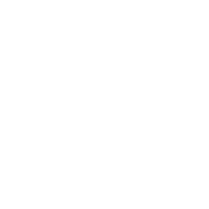 Logo klienta DVRA – referencia Linsa Media