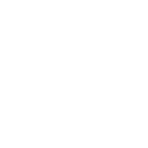 Logo klienta LE – referencia Linsa Media