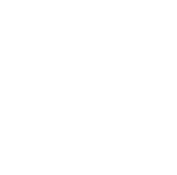 Linsa Media logo
