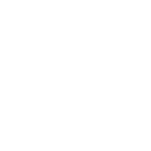 Logo klienta ZSE – referencia Linsa Media